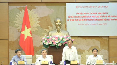 EVN chưa kiểm kê toàn diện và tổng thể lượng khí nhà kính phát thải hàng năm