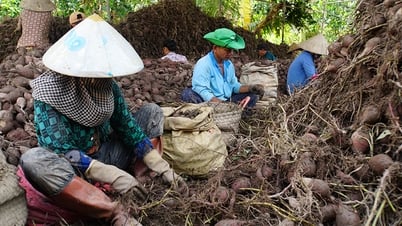 Tân Phú Trung: Tầm nhìn phát triển mới