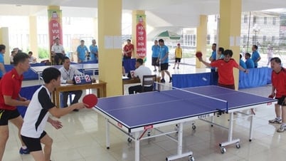 Ban hành Kế hoạch xây dựng Thông tư sửa đổi, bổ sung về tổ chức và hoạt động của CLB TDTT cơ sở