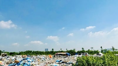 Xã Thanh Trì xử lý dứt điểm vi phạm đất nông nghiệp Khu tây làng