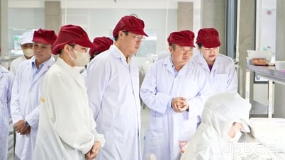 Đồng Tháp kiến tạo, đồng hành cùng doanh nghiệp