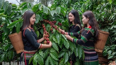 Khai phá tiềm năng phát triển du lịch canh nông