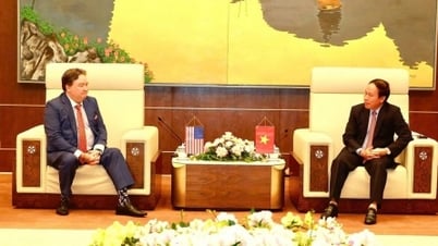 Đại sứ Hoa Kỳ Marc Knapper: Nhiều doanh nghiệp Hoa Kỳ quan tâm tìm hiểu cơ hội đầu tư tại Hải Phòng