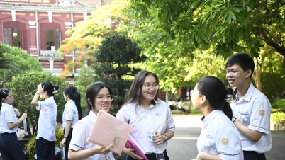 Sự thật phía sau 15.000 điểm 10: Phổ điểm 2025 phản ánh điều gì?