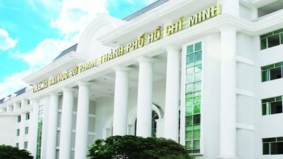 Hơn 400 thí sinh trúng tuyển Trường ĐH Sư phạm TP.HCM năm 2025