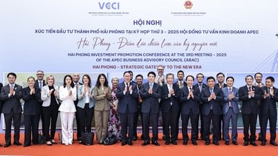 Chủ tịch nước Lương Cường dự Hội nghị Xúc tiến đầu tư Hải Phòng