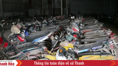 Công an tỉnh Thanh Hóa thông báo lần 2 tìm chủ sở hữu phương tiện giao thông vi phạm