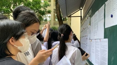 Đà Nẵng tỏa sáng với nhiều thí sinh lọt Top 100 điểm cao nhất khối A năm 2025