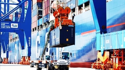 Bộ Công Thương ban hành bộ thủ tục hành chính mới trong lĩnh vực xuất nhập khẩu