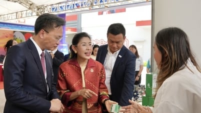 Doanh nghiệp Thái Lan tìm kiếm cơ hội hợp tác tại Việt Nam
