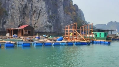 "Trợ lực" quan trọng cho nông nghiệp