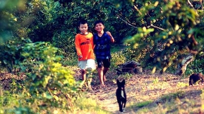 Mùa hè của Tũn