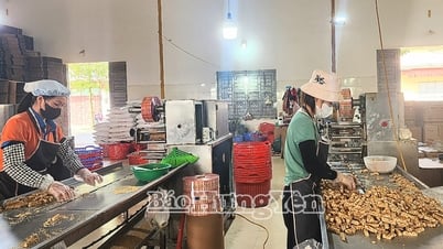 Khẳng định vị thế và thương hiệu sản phẩm OCOP 4 sao trên thị trường