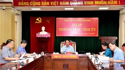 Họp Thường trực Tỉnh ủy xem xét một số nội dung quan trọng của tỉnh