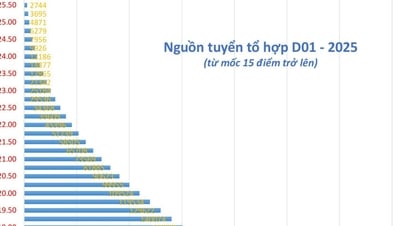 Dự báo điểm sàn khối D01 giảm dữ dội