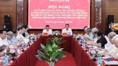 Các đồng chí nguyên lãnh đạo góp ý vào dự thảo Văn kiện trình Đại hội XIV của Đảng và Đại hội đại biểu Đảng bộ tỉnh lần thứ XVIII