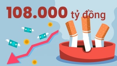 108.000 tỷ đồng - là ước tính thiệt hại kinh tế do thuốc lá gây ra tại Việt Nam mỗi năm