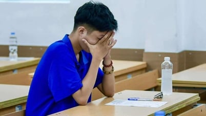 Không thể lấy phổ điểm làm căn cứ đánh giá chất lượng giáo dục