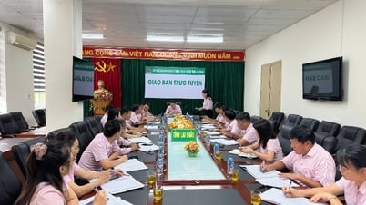 Đoàn kiểm tra Ngân hàng Chính sách xã hội Việt Nam làm việc tại Chi nhánh Ngân hàng Chính sách xã hội tỉnh Lai Châu