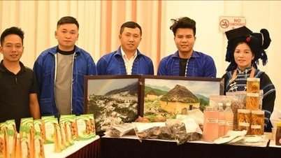 Sân chơi khơi dậy khát vọng khởi nghiệp thanh niên nông thôn