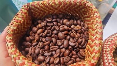 Giá cà phê hôm nay 16/7: Tăng kịch trần, tiến về đỉnh 100.000 đồng/kg
