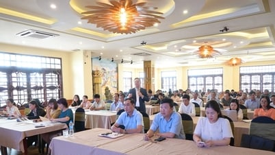 Tập huấn kỹ năng kinh doanh và tiếp cận thị trường trong nước cho các HTX