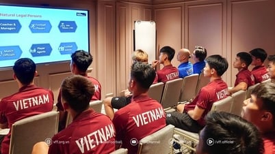 AFF nghiêm cấm U.23 Việt Nam dàn xếp tỷ số, móc ngoặc: Không để bị cám dỗ, mua chuộc