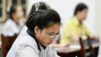 Hơn 32% bài thi môn Sinh học đạt mức điểm dưới trung bình