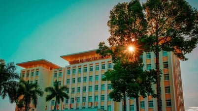 Điểm chuẩn Đại Học Tây Nguyên 2025