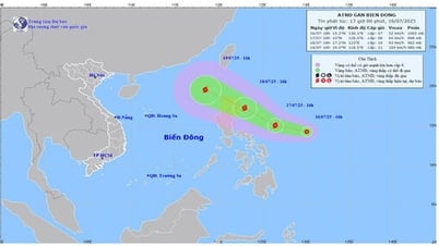 Tin áp thấp nhiệt đới gần Biển Đông