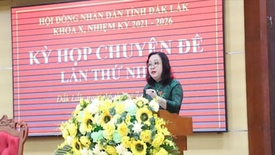 다크락, 사회경제적 발전 지표 통과...