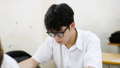 15 tỉnh có điểm thi khối A1 tốt nghiệp THPT 2025 cao nhất trong 63 tỉnh thành cũ
