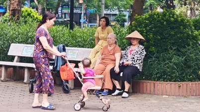 Bộ Y tế nói gì về đề xuất trợ cấp cho người từ 70 tuổi thay vì 75 tuổi?