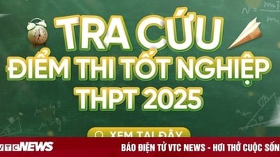 Link tra cứu điểm thi tốt nghiệp THPT 2025 nhanh và chính xác