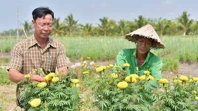 アンザン省：約4万7000世帯の貧困世帯と政策受益者が優遇融資を受ける