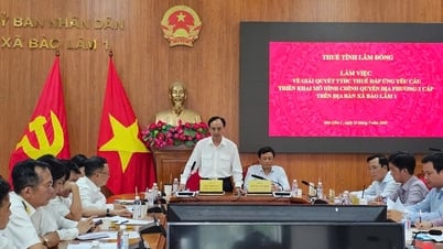 Ngành Thuế Lâm Đồng giải quyết khó khăn, đáp ứng mô hình chính quyền địa phương 2 cấp