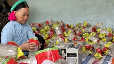  Nông dân vượt khó, làm giàu trên chính mảnh đất quê hương