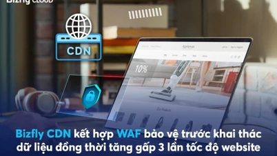 Khám phá lợi ích vượt trội của Bizfly cloud CDN – Giải pháp tối ưu cho website doanh nghiệp