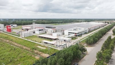 Ausländische Investoren bekennen sich zu langfristigen Investitionen in Vietnam