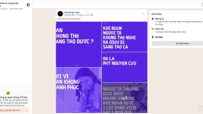 Địa chỉ Fedu Design ở đâu? Có thể học offline không?