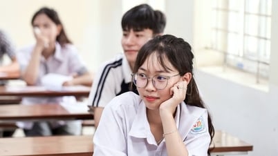 Xếp hạng điểm thi tốt nghiệp THPT môn Tiếng Anh 2025 theo thứ tự 34 tỉnh, thành
