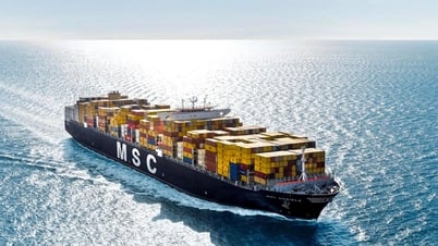 [Tin tức Hàng hải] Hơn 80% công suất vận tải container toàn cầu nằm trong tay MSC và các liên minh hàng hải lớn