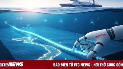Tự chủ cáp quang biển: Chiến lược để Việt Nam định vị trên bản đồ số toàn cầu