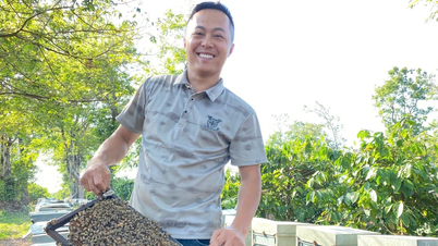 Rong ruổi theo cánh ong bay