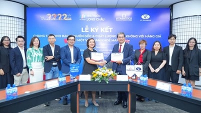 Bảo vệ triệu gia đình Việt, Long Châu chung tay cùng nhãn hàng lớn xây dựng liên minh minh bạch