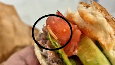 Xác minh thông tin bánh mì của một thương hiệu lớn ở Đà Nẵng có dòi bò lúc nhúc