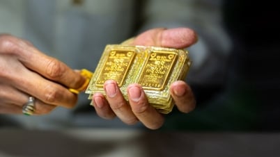 Dự báo giá vàng ngày 17/7/2025: Liệu giá vàng trong nước có đột biến mới khi đồng USD và lợi suất trái phiếu suy yếu?