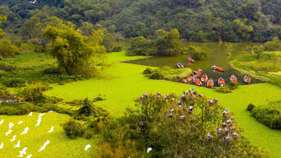 Du lịch Thung Nham, Ninh Bình - Bản giao hưởng miền nhiệt đới nổi tiếng miền Bắc