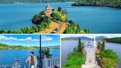 Tour Măng Đen 3 ngày 2 đêm khởi hành từ Huế