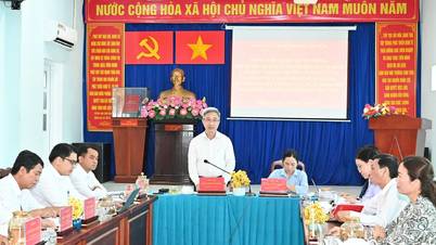 Khảo sát vận hành mô hình chính quyền địa phương 2 cấp tại xã đảo Thạnh An